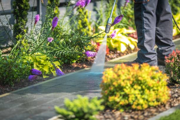 Best Restaurant Pressure Washing  in Shamrock, TX